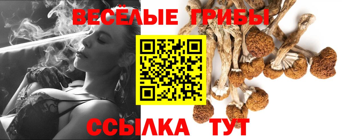 Волжский  Галлюциногенные грибы Psilocybine cubensis  купить наркоту  Вход с VPN 