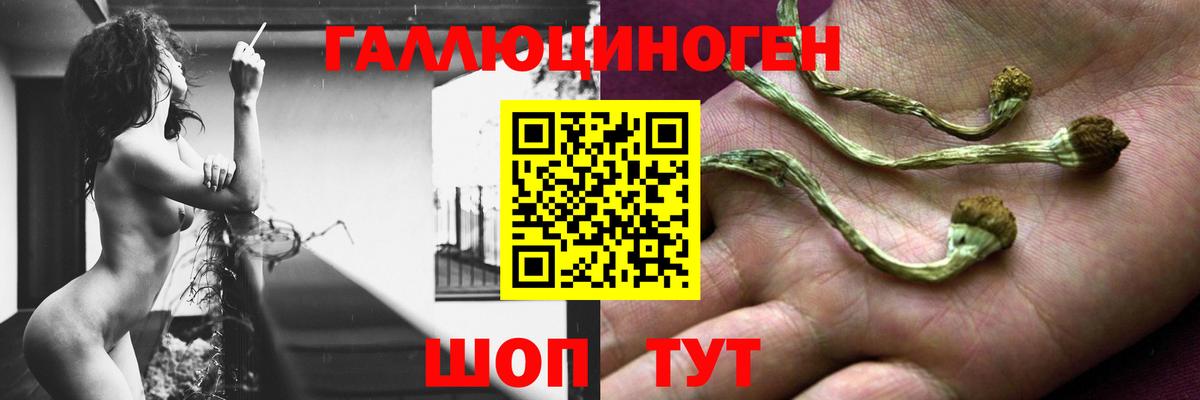 Псилоцибиновые грибы MAGIC MUSHROOMS Волжский